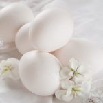 Чем полезны гусиные яйца?